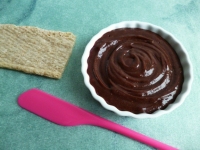 tartinade allégée chocolat tiramisu (diététique hypocalorique sans sucre sans beurre sans cuisson et très riche en fibres)