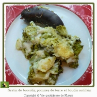 recette de brocolis N15