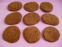 tuiles crues cacao coco chia avec AlcaMatin millet sarrasin graines pomme ananas (dittiques sans gluten et riches en fibres)