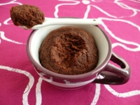 mugcake hyperprotéiné chocolat et noix de coco à seulement 120 kcal (diététique végétarien allégé et riche en fibres)