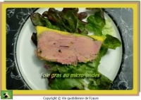 Foie gras au micro ondes Vie quotidienne de FLaure