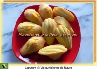 recette de madeleines N°7