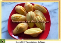 recette de stevia N14
