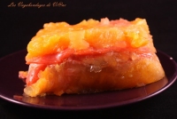 Terrine d  agrumes frais aux deux saumons