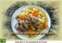 recette de agneau N15