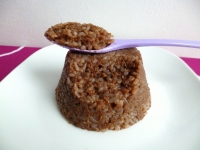 gâteau de riz de konjac chocolat et cacahuète au psyllium à 20 kcal (diététique sans oeuf ni beurre ni sucre riche en fibres)