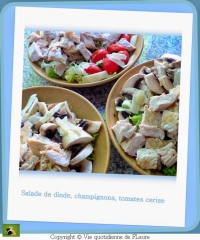 Salade de dinde champignons et tomates cerise Vie quotidienne de FLaure