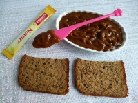 recette de tartinade N11