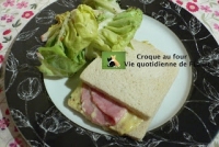 recette de philadelphia N6