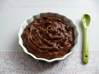 crème dessert diététique végane cacaotée aux protéines de pois (sans gluten ni sucre ni oeuf ni lait ni beurre riche en fibres)