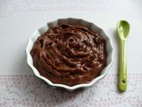 crme dessert dittique vgane cacaote aux protines de pois (sans gluten ni sucre ni oeuf ni lait ni beurre riche en fibres)