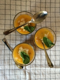 recette de menthe N17