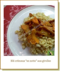 Bl crmeux en zotto aux girolles