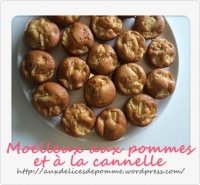 recette de moelleux N4