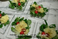 Tête de moine en fleur sur un lit de salade