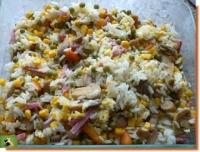 Riz faon cantonnais