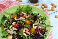 Salade de thon aux lentilles vertes et cacahutes