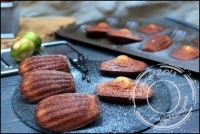 Madeleines vanille et amande amre de Philippe Conticini