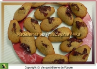 Madeleines au Philadelphia Milka