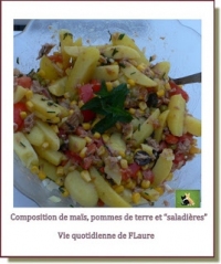Composition avec mas pommes de terre et saladires