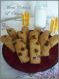 Muffin  s a l  okara d  amandes