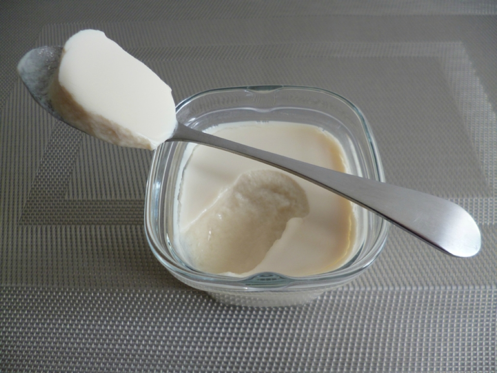 yaourts maison diététiques au soja et au sirop d  agave en poudre (sans sucre)