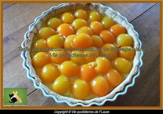 Tarte aux abricots sur une couche de fromage blanc Vie quotidienne de FLaure