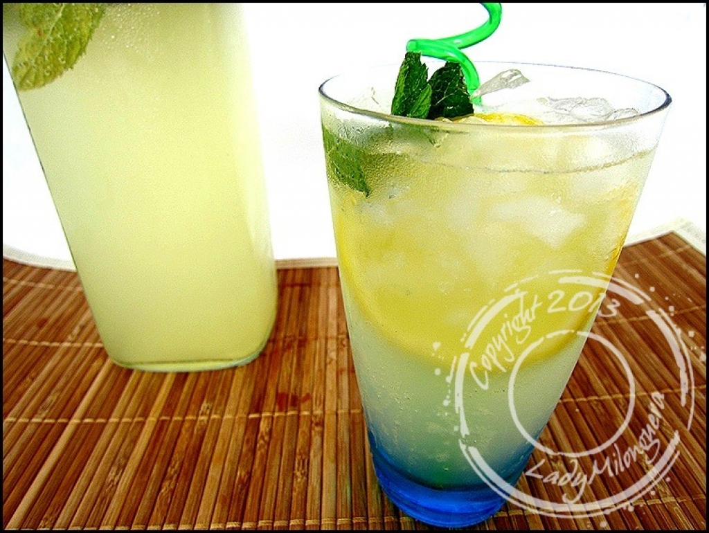 Recettes de eau gazeuse Recettes de eau gazeuse