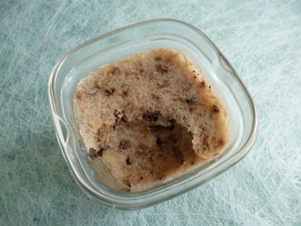 yaourts gâteaux végétaux maison riz et baobab aux fèves de cacao au psyllium et avec Sukrin (sans sucre ni beurre ni oeufs)