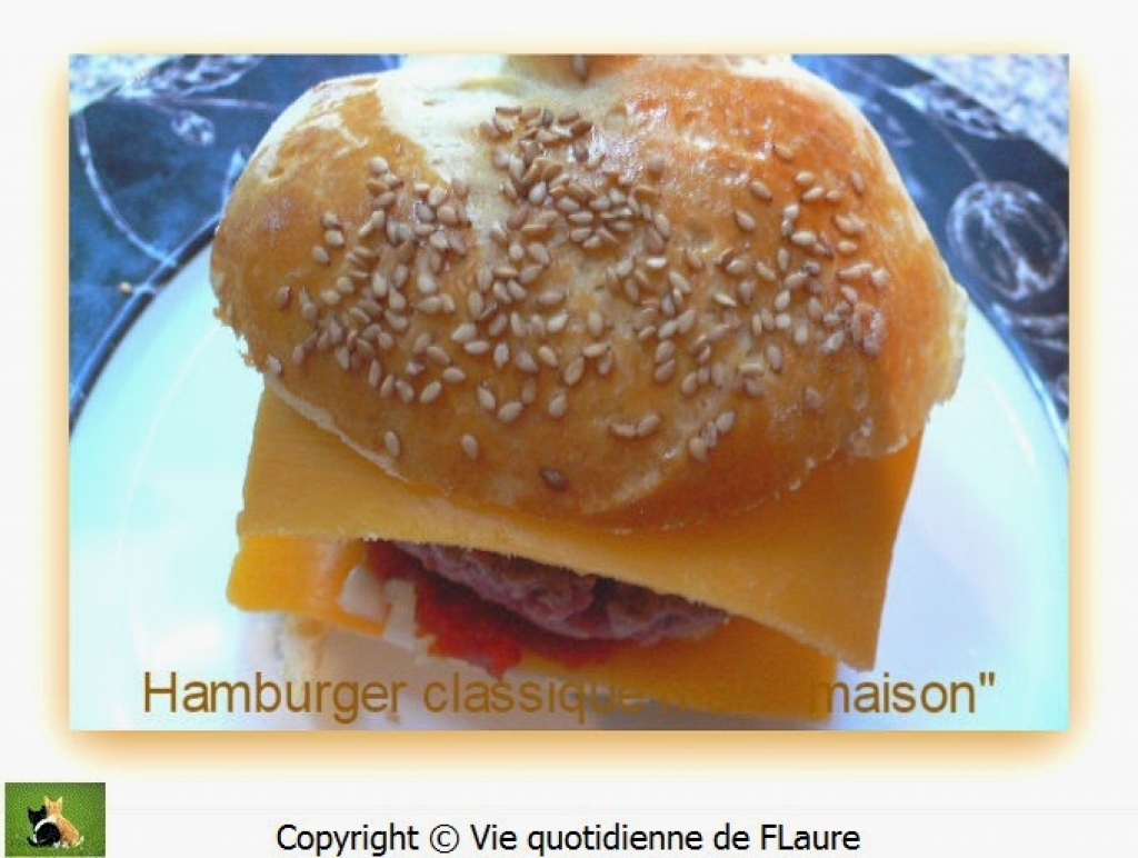 Hamburger classique mais maison Vie quotidienne de FLaure