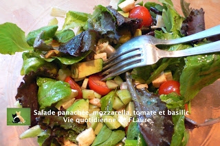 Salade panachée mozzarella tomate et basilic Vie quotidienne de FLaure